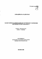 Молекулярное маркирование ЦМС и генов восстановления фертильности риса (Oryza sativa L.) - тема автореферата по биологии, скачайте бесплатно автореферат диссертации