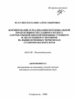 Формирование и реализация потенциальной продуктивности главного колоса сортов озимой мягкой пшеницы степного и лесостепного экотипов на выщелоченных черноземах Ставропольского края - тема автореферата по сельскому хозяйству, скачайте бесплатно автореферат диссертации