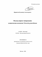 Молекулярное типирование клинических штаммов Neisseria gonorrhoeae - тема автореферата по биологии, скачайте бесплатно автореферат диссертации