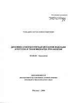 Динамика и молекулярный механизм индукции апоптоза в ткани миокарда при аноксии - тема автореферата по биологии, скачайте бесплатно автореферат диссертации