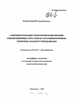 Совершенствование технологии возделывания озимой пшеницы сорта Победа 50 на выщелоченном черноземе Западного Предкавказья - тема автореферата по сельскому хозяйству, скачайте бесплатно автореферат диссертации