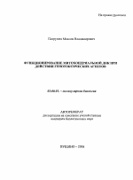 Функционирование митохондриальной ДНК при действии генотоксических агентов - тема автореферата по биологии, скачайте бесплатно автореферат диссертации