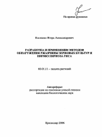 Разработка и применение методов обнаружения ржавчины зерновых культур и пирикуляриоза риса - тема автореферата по сельскому хозяйству, скачайте бесплатно автореферат диссертации