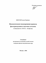 Математическое моделирование процесса фототрансдукции в палочках сетчатки - тема автореферата по биологии, скачайте бесплатно автореферат диссертации