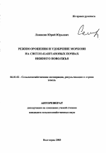 Режим орошения и удобрение моркови на светло-каштановых почвах Нижнего Поволжья - тема автореферата по сельскому хозяйству, скачайте бесплатно автореферат диссертации