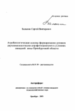 Агробиологические основы формирования урожаев двухкомпонентными агрофитоценозами в условиях западной зоны Оренбургской области - тема автореферата по сельскому хозяйству, скачайте бесплатно автореферат диссертации