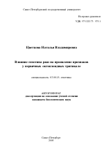 Влияние генотипа ржи на проявление признаков у первичных октоплоидных тритикале - тема автореферата по биологии, скачайте бесплатно автореферат диссертации