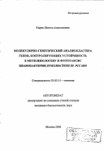 Молекулярно-генетический анализ кластера генов, контролирующих устойчивость к метилвиологену и фототаксис цианобактерии Synechocystis sp. PCC 6803 - тема автореферата по биологии, скачайте бесплатно автореферат диссертации