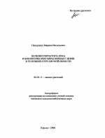 Болезни репчатого лука и биологические меры борьбы с ними в условиях Курганской области - тема автореферата по сельскому хозяйству, скачайте бесплатно автореферат диссертации