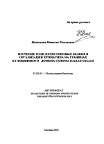 Изучение роли негистоновых белков в организации хроматина на границах β-глобинового домена генома Gallus Gallus - тема автореферата по биологии, скачайте бесплатно автореферат диссертации