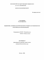 Выделение активных бактериоцинобразующих лактококков и их практическое использование - тема автореферата по биологии, скачайте бесплатно автореферат диссертации