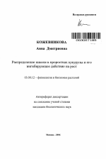 Распределение никеля в проростках кукурузы и его ингибирующее действие на рост - тема автореферата по биологии, скачайте бесплатно автореферат диссертации