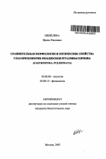 Сравнительная морфология и оптические свойства глаз брюхоногих моллюсков Stylommatophora - тема автореферата по биологии, скачайте бесплатно автореферат диссертации