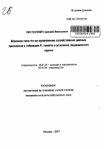 Влияние гена rin на проявление хозяйственно ценных признаков у гибридов F1 томата в условиях защищенного грунта - тема автореферата по сельскому хозяйству, скачайте бесплатно автореферат диссертации