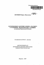 Клубеньковые бактерии клевера красного в различных экологических условиях - тема автореферата по биологии, скачайте бесплатно автореферат диссертации