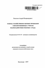 Оценка хозяйственно ценных признаков озимой пшеницы с учетом взаимодействия генотип × среда - тема автореферата по сельскому хозяйству, скачайте бесплатно автореферат диссертации