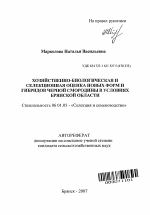 Хозяйственно-биологическая и селекционная оценка новых форм и гибридов черной смородины в условиях Брянской области - тема автореферата по сельскому хозяйству, скачайте бесплатно автореферат диссертации