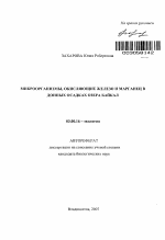 Микроорганизмы, окисляющие железо и марганец в донных осадках озера Байкал - тема автореферата по биологии, скачайте бесплатно автореферат диссертации