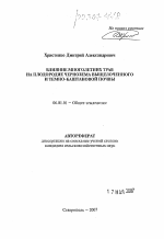 Влияние многолетних трав на плодородие чернозема выщелоченного и темно-каштановой почвы - тема автореферата по сельскому хозяйству, скачайте бесплатно автореферат диссертации