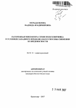 Патогенная микофлора семян подсолнечника в условиях Западного Предкавказья и способы снижения её вредоносности - тема автореферата по сельскому хозяйству, скачайте бесплатно автореферат диссертации