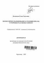 Молекулярное маркирование в селекции риса на устойчивость к пирикуляриозу - тема автореферата по сельскому хозяйству, скачайте бесплатно автореферат диссертации