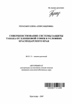 Совершенствование системы защиты табака от хлопковой совки в условиях Краснодарского края - тема автореферата по сельскому хозяйству, скачайте бесплатно автореферат диссертации