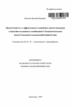 Продуктивность и эффективность подвойных сортов винограда и привойно-подвойных комбинаций в Таманской подзоне Анапо-Таманской сельскохозяйственной зоны - тема автореферата по сельскому хозяйству, скачайте бесплатно автореферат диссертации