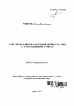 Роль полиаминов в адаптации Escherichia coli к супероксидному стрессу - тема автореферата по биологии, скачайте бесплатно автореферат диссертации