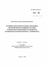 Сравнительная морфология и эволюция женской репродуктивной системы и биология размножения гладконосых рукокрылых (Vespertilionidae, Chiroptera) - тема автореферата по биологии, скачайте бесплатно автореферат диссертации