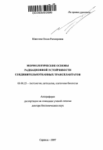 Морфологические основы радиационной устойчивости соединительнотканных трансплантатов - тема автореферата по биологии, скачайте бесплатно автореферат диссертации