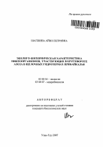 Эколого-биохимическая характеристика микроорганизмов, участвующих в круговороте азота в щелочных гидротермах Прибайкалья - тема автореферата по биологии, скачайте бесплатно автореферат диссертации