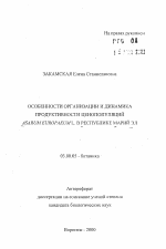 Особенности организации и динамика продуктивности ценопопуляций Asarum europaeum L. в Республике Марий Эл - тема автореферата по биологии, скачайте бесплатно автореферат диссертации