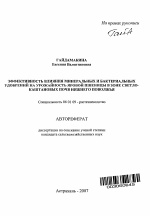 Эффективность влияния минеральных и бактериальных удобрений на урожайность яровой пшеницы в зоне светло-каштановых почв Нижнего Поволжья - тема автореферата по сельскому хозяйству, скачайте бесплатно автореферат диссертации