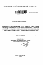 Изучение экспрессии генов, участвующих в системном контроле деления клеток и дифференцировки у высших растений, на модели спонтанного опухолеобразования у инбредных линий редиса (Raphanus sativus var. Radicula Pers.) - тема автореферата по биологии, скачайте бесплатно автореферат диссертации