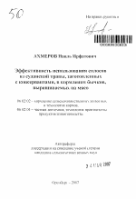 Эффективность использования силосов из суданской травы, заготовленных с консервантами, в кормлении бычков, выращиваемых на мясо - тема автореферата по сельскому хозяйству, скачайте бесплатно автореферат диссертации