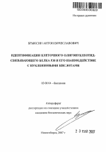 Идентификация клеточного олигонуклеотид-связывающего белка Р38 и его взаимодействие с нуклеиновыми кислотами - тема автореферата по биологии, скачайте бесплатно автореферат диссертации