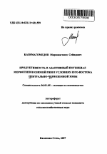 Продуктивность и адаптивный потенциал морфотипов озимой ржи в условиях юго-востока Центрально-Черноземной зоны - тема автореферата по сельскому хозяйству, скачайте бесплатно автореферат диссертации