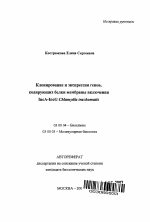 Клонирование и экспрессия генов, кодирующих белки мембраны включения IncA-IncG Chlamydia trachomatis - тема автореферата по биологии, скачайте бесплатно автореферат диссертации