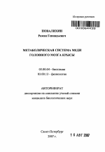 Метаболическая система меди головного мозга крысы - тема автореферата по биологии, скачайте бесплатно автореферат диссертации