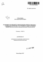 Особенности ядерных и митохондриальных геномов у аллоплазматических эуплоидных и анеуплоидных линий - тема автореферата по биологии, скачайте бесплатно автореферат диссертации