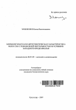 Морфологическая и цитогенетическая характеристика форм сои с пониженной фертильностью в условиях Западного Предкавказья - тема автореферата по сельскому хозяйству, скачайте бесплатно автореферат диссертации