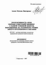 Продуктивность ярок породы советский меринос с разной тониной шерсти, выращенных на различном уровне энерго-протеинового питания - тема автореферата по сельскому хозяйству, скачайте бесплатно автореферат диссертации