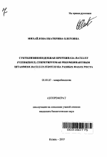 Субтилизиноподобная протеиназа Bacillus Intermedius, секретируемая рекомбинантным штаммом Bacillus Subtilis на разных фазах роста - тема автореферата по биологии, скачайте бесплатно автореферат диссертации