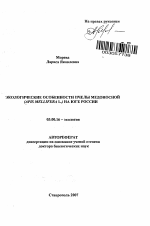 Экологические особенности пчелы медоносной (Apis mellifera L.) на юге России - тема автореферата по биологии, скачайте бесплатно автореферат диссертации