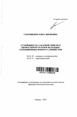 Устойчивость сахарной свеклы к церкоспорозу и отбор исходных селекционных форм в условиях ЦЧР - тема автореферата по сельскому хозяйству, скачайте бесплатно автореферат диссертации