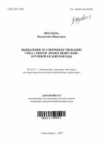 Выведение и совершенствование типа свиней "Новосибирский" крупной белой породы - тема автореферата по сельскому хозяйству, скачайте бесплатно автореферат диссертации