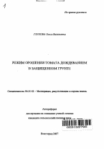 Режим орошения томата дождеванием в защищенном грунте - тема автореферата по сельскому хозяйству, скачайте бесплатно автореферат диссертации