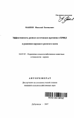 Эффективность разных источников протеина и БМВД в рационах крупного рогатого скота - тема автореферата по сельскому хозяйству, скачайте бесплатно автореферат диссертации