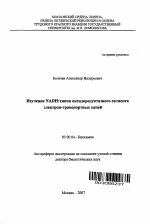 Изучение NADH:хинон оксидоредуктазного сегмента электрон-транспортных цепей - тема автореферата по биологии, скачайте бесплатно автореферат диссертации