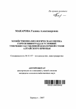 Хозяйственно-биологическая оценка сортов винограда в условиях умеренно засушливой и колочной степи Алтайского Приобья - тема автореферата по сельскому хозяйству, скачайте бесплатно автореферат диссертации